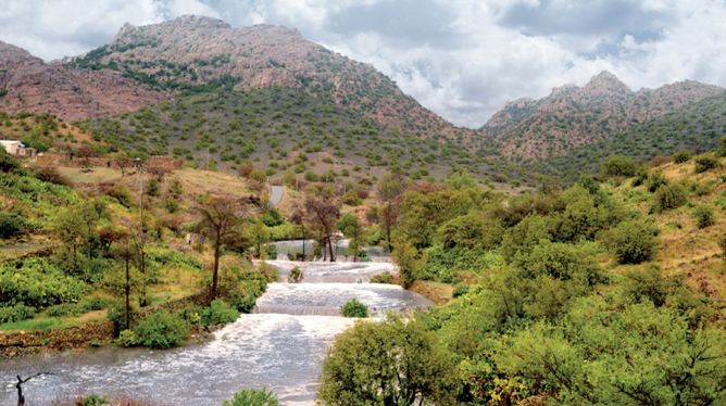 Taif Interesting Place to Visit in Saudi Arabia - Hajjumrahpackages.us