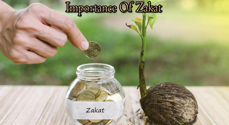 Importance Of Zakat in Islam